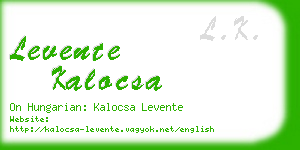 levente kalocsa business card